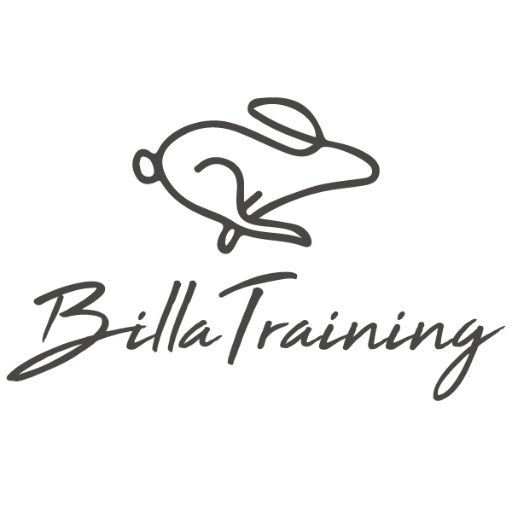 Logo-BT.jpg Logo-BT.jpg